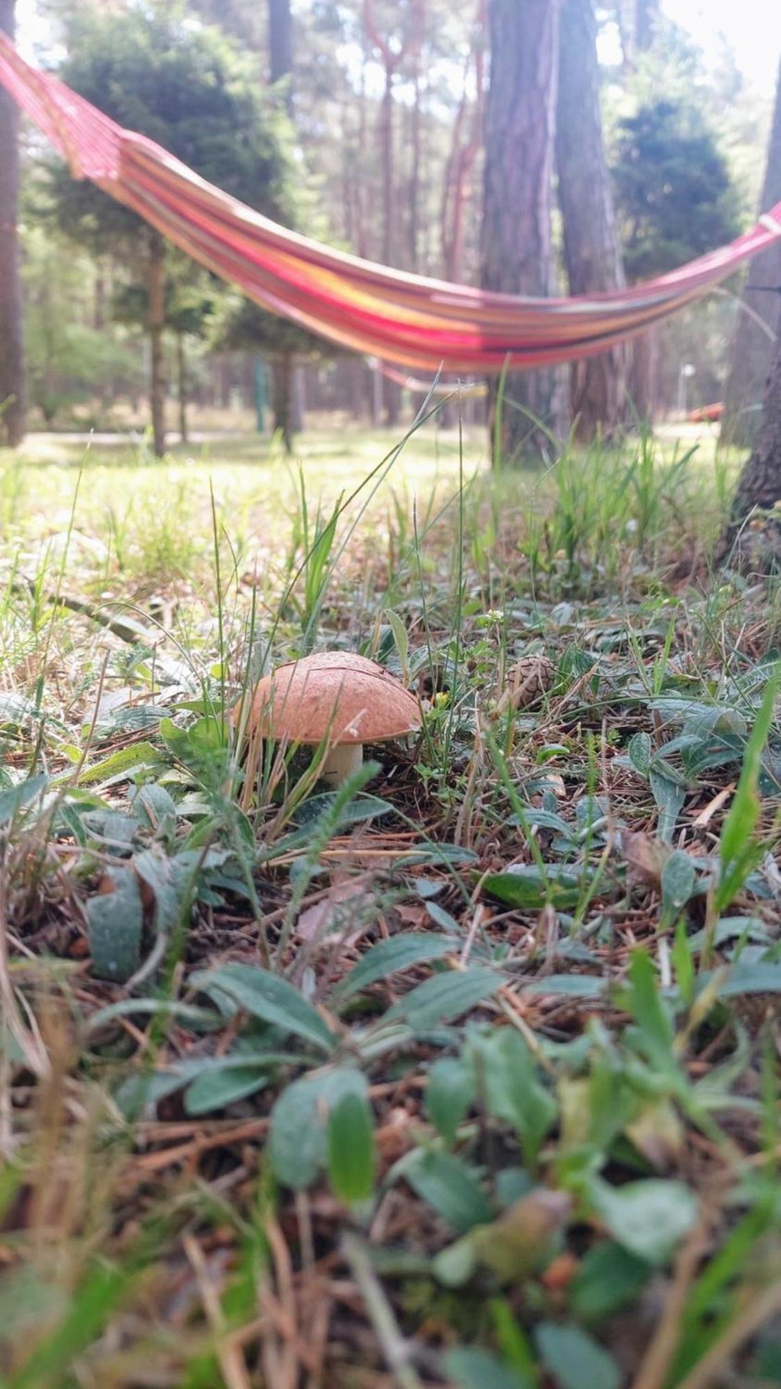Polana Lukecin - Pobierowo Hotel Bagian luar foto